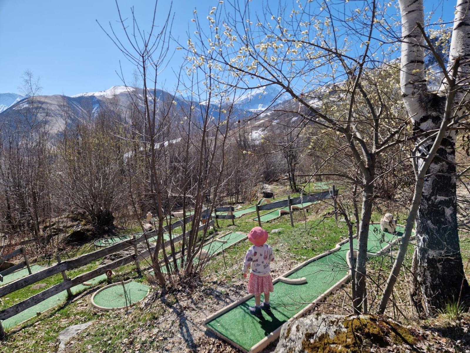 Le Domaine Du Trappeur Hotel Saint-Sorlin-dʼArves Kültér fotó